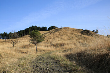 兵庫県神河町　砥峰高原の風景