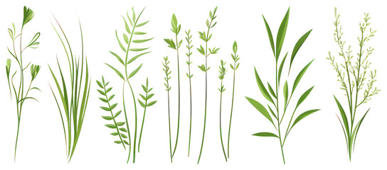 PNG Vibrant green botanical illustrations, element set on transparent background