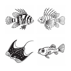 Fototapeta premium line art of marine fish on the white background