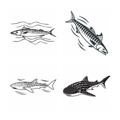 line art of marine fish on the white background
