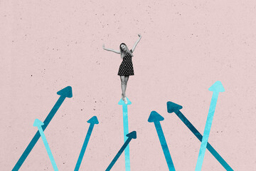 Image contemporary photo collage of happy businesswoman stand arrow pointer development career...