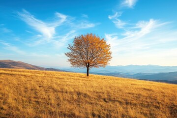 Fototapeta premium Lone tree stands on golden autumn hillside under expansive blue sky with distant mountains in background, Lone tree on a golden autumn hillside under blue sky with mountains in the distance