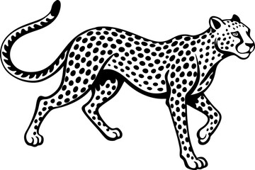A cheetah sprinting, isolated on a white background.  leopard vector illustration