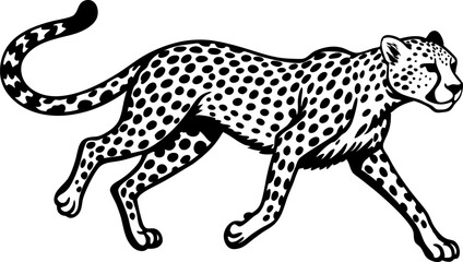 A cheetah sprinting, isolated on a white background.  leopard vector illustration