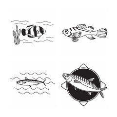 line art of marine fish on the white background