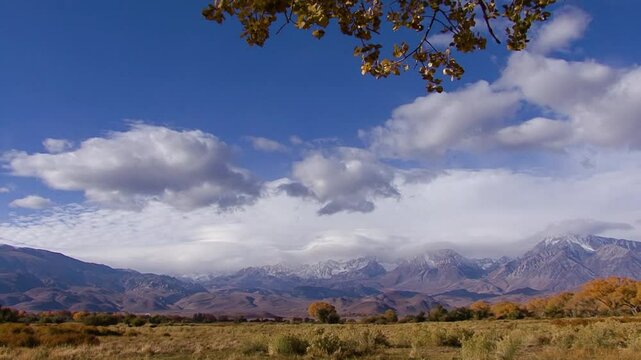 LTR pan of fall-color trees and brush near Bishop in California's Owens Valley with the snowcapped Sierra Nevada mountains beyond.  Clouds dapple the sky cast shadows across the field.