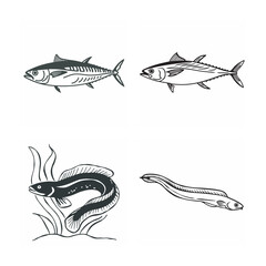 line art of marine fish on the white background