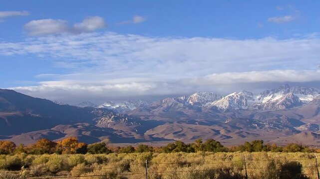 LTR pan pan of the snowcapped Sierra Nevada crest from the Owens Valley near Bishop, California.  Rabbit brush and cottonwoods in fall colors fill the foreground.