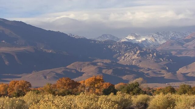 LTR pan of the snowcapped Sierra Nevada crest from the Owens Valley near Bishop, California.  Fall colors fill the foreground.