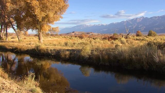 LTR pan of a fall-colored landscape with a tree-lined canal in a field of grass and rabbit brush in the Owens Valley near Bishop, California.  The snowcapped Sierra Nevada Crest looms in the distance.