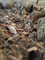 Textured Earth and Ground with Natural Elements