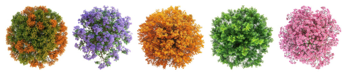 PNG Colorful round tree tops, element set on transparent background