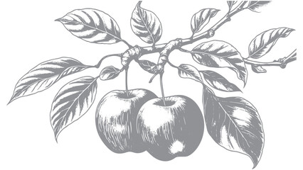 Hand-drawn apple branch with fruit and leaves