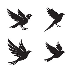 set of vector birds