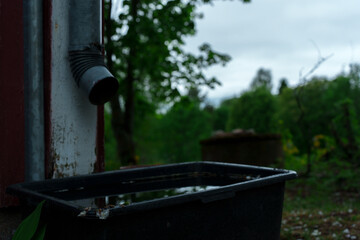 A trough gathering rainwater on the corner of a farmhouse.