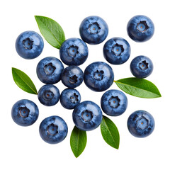 A delectable array of blueberries and verdant foliage arranged beautifully on the transparent background
