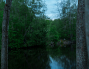 A sheltered oasis in the middle of a covert of trees. 