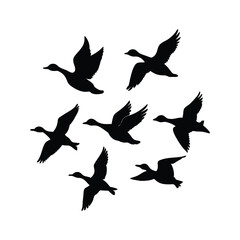 A set of silhouette flying duck vector illustration