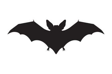 Fototapeta premium bat and bats