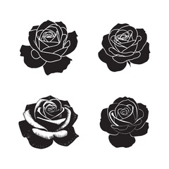 set of roses