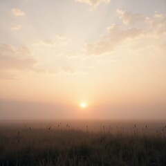 Obraz premium sunrise over the field