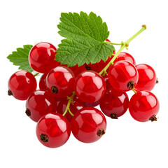 Juicy vibrant red currants clustered together enticingly displayed on the transparent background