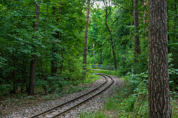 Curved Railway Track Surrounded by Dense Green Forest and Trees in Nature