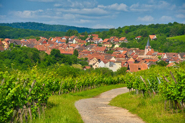Rosenwiller im Elsass im Sommer