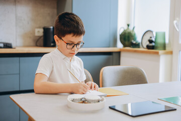 Young Student Doing Homework in Modern Kitchen