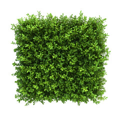 Naklejka premium Square green grass background isolated on transparent background