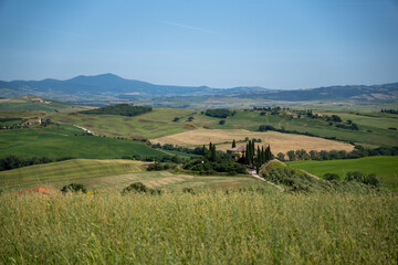 Obraz premium Idyllic Tuscan Landscape in Val d'Orcia with Rolling Hills, Cypress Trees, and Farmhouses Under a Clear Blue Sky - Scenic Countryside Panorama in Tuscany, Italy