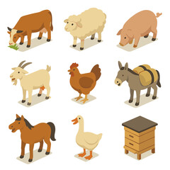 Obraz premium Peasant Livestock Icons. Isometric Flat icon set of peasant livestock husbandry: grazing cow, woolly sheep, rooting pig, bleating