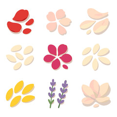 Petal Sprinkles Icons. Isometric Flat icon set of Flower Petal Sprinkles: rose petals, cherry blossom petals, lily petals, jasmine