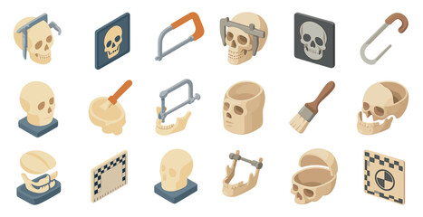 Forensic anthropology tools and skull illustrations for educational design