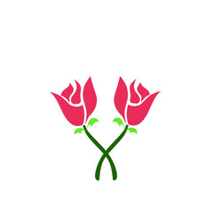 Symmetrical floral arrangement against a stark, contrasting backdrop design