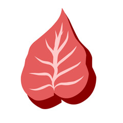 Stylized botanical form with pronounced shadow on a stark monochrome background