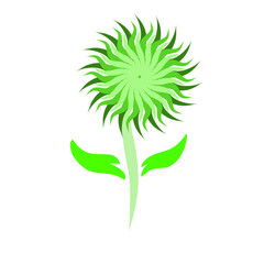 Stylized botanical illustration featuring a green radiant blossom on black