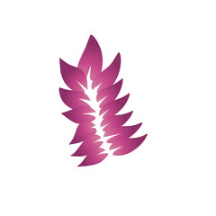 Abstract magenta floral arrangement isolated on a stark black backdrop design
