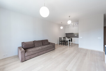 Modern Home Apartment Living Room with Kitchen and Dining Area