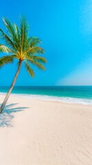 Obraz premium A single palm tree leans towards a pristine white sand beach, its shadow cast on the sand against a backdrop of a vibrant blue ocean and sky; a tranquil, idyllic tropical scene