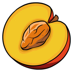fresh peach half fruit