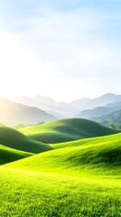 Serene landscape of rolling green hills bathed in soft, diffused sunlight under a pale blue sky.  The foreground shows vibrant green grass, leading to gently undulating hills extending to haz