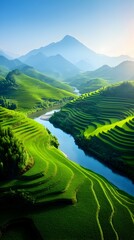 Serene vista of verdant rice terraces cascading down hillsides, a meandering river cutting through the landscape, culminating in a hazy mountain range under a clear, bright sky