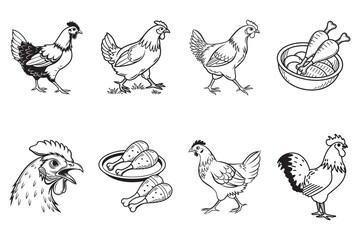 Simple Line Art Illustrations of Chickens and Chicken Parts