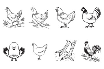 Simple Line Art Illustrations of Chickens and Chicken Parts