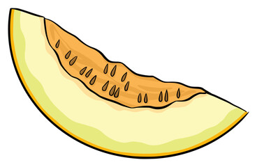 cantaloupe slice fruit icon