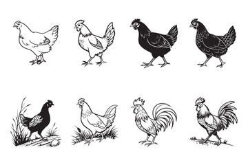 Obraz premium Simple Line Art Illustrations of Chickens and Chicken Parts