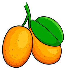 kumquat orange icon fruit