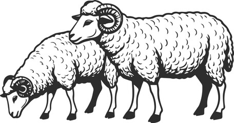 Icon of two sheep grazing, black line sheep icon.