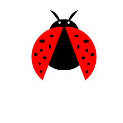 Stylized ladybug illustration with vibrant red wings against a black backdrop